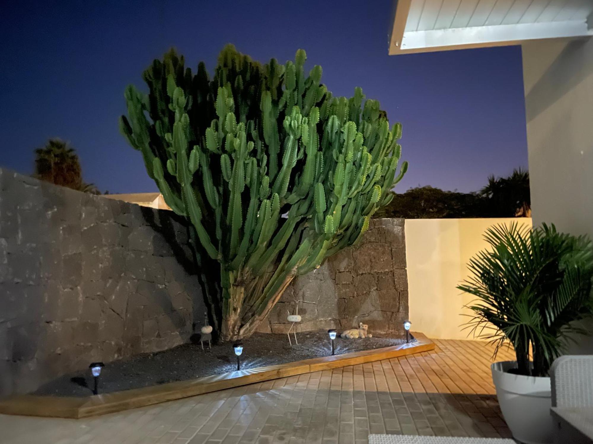 Villa Grey By Vulcano Homes Tahiche Zewnętrze zdjęcie